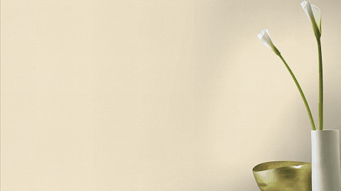 Papel Mural / 555837 (Liverna)