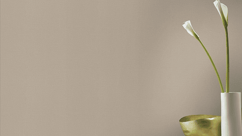 Papel Mural / 555868 (Liverna)