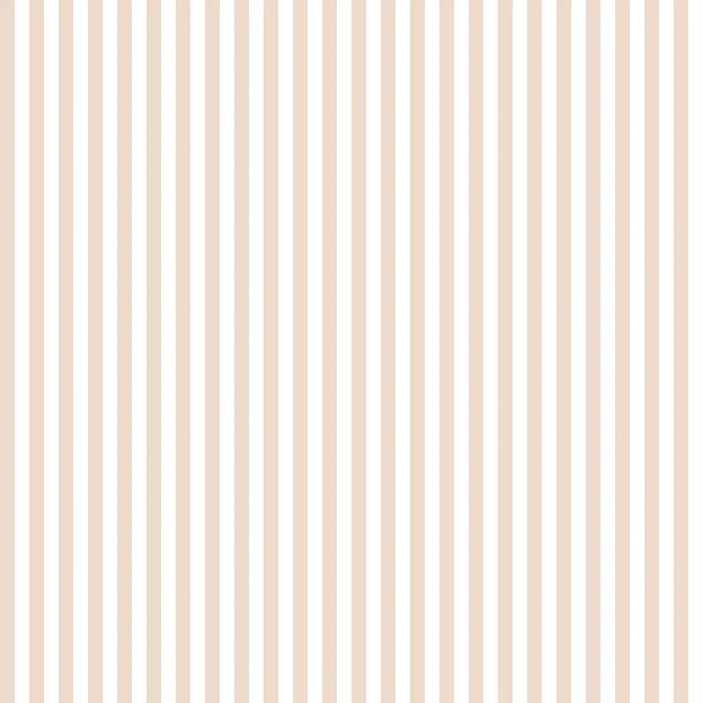 Papel Mural / 7932 (Kids & Kids) 1