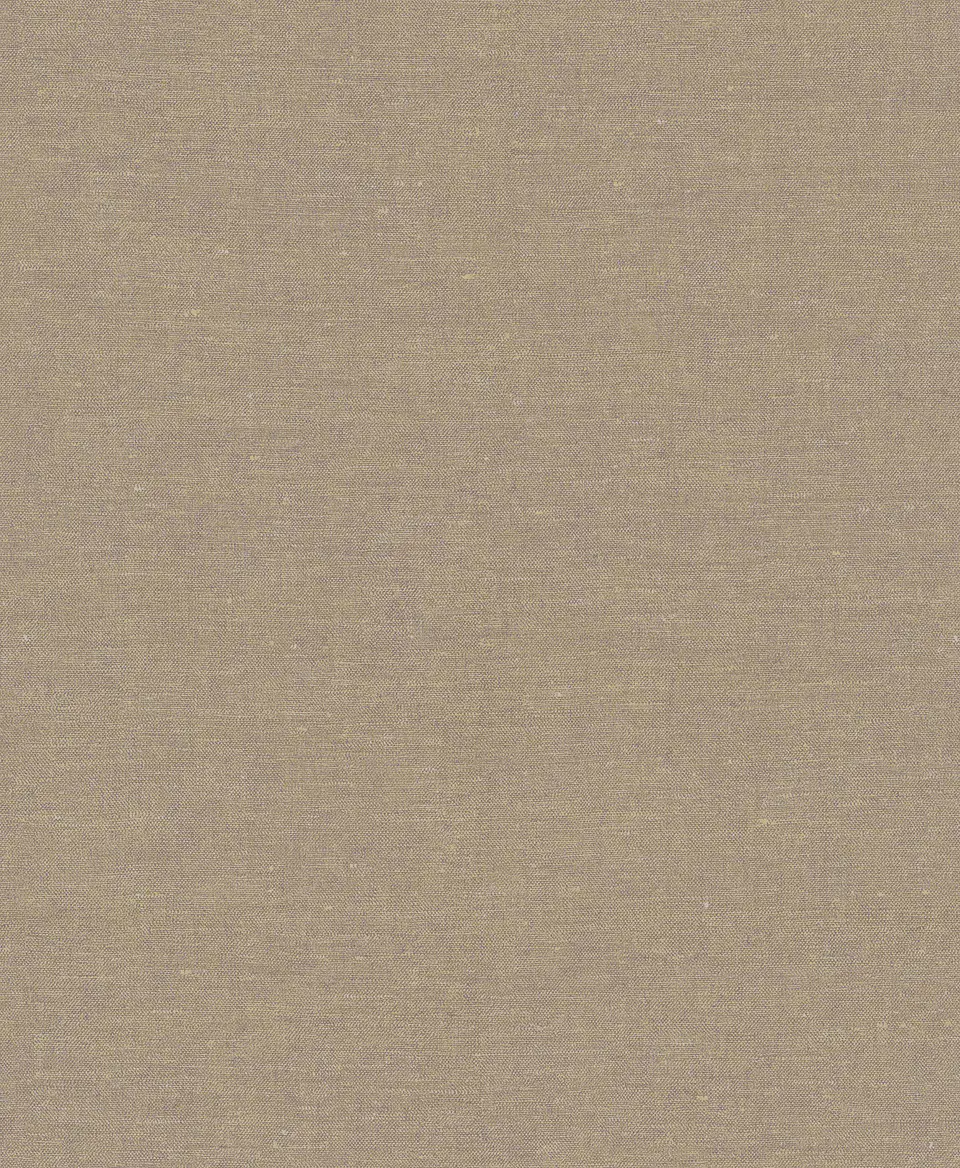 Papel Mural / 219429 (Grounded) 1