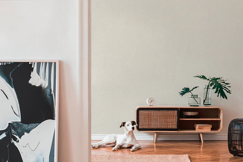 Papel Mural / 367204 (Smart Surface)