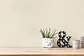 Papel Mural / 367205 (Smart Surface) - Miniatura 2