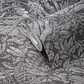 Papel Mural / 395607 (Smart Surface) - Miniatura 4