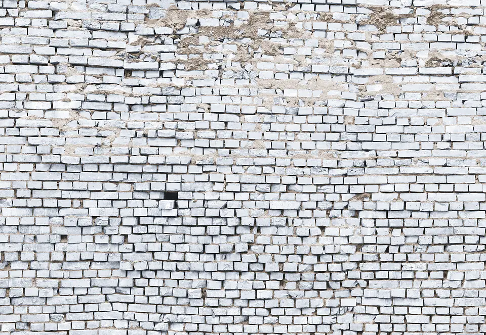 Fotomural / Ladrillo Blanco 2