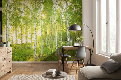 Fotomural / Bosque Verde