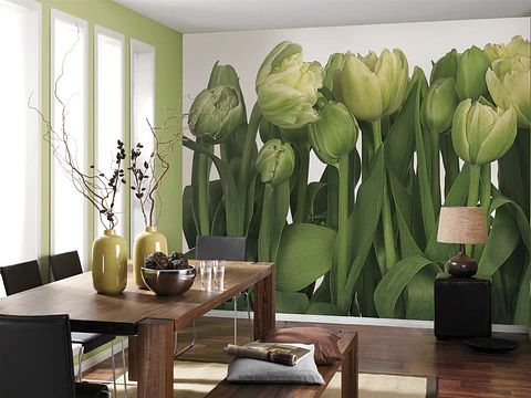 Fotomural / Tulipanes
