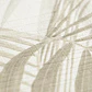 Papel Mural Hojas Palmera / 387102 (Spectrum) - Miniatura 5