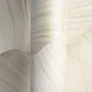 Papel Mural Hojas Ginkgo Crema / 792331 (Spectrum) - Miniatura 3