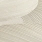 Papel Mural Hojas Ginkgo Beige / 792334 (Spectrum) - Miniatura 2