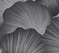 Papel Mural Hojas Ginkgo Negro / 792337 (Spectrum) - Miniatura 1