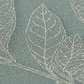 Papel Mural Hojas Turquesa / 792383 (Spectrum) - Miniatura 4