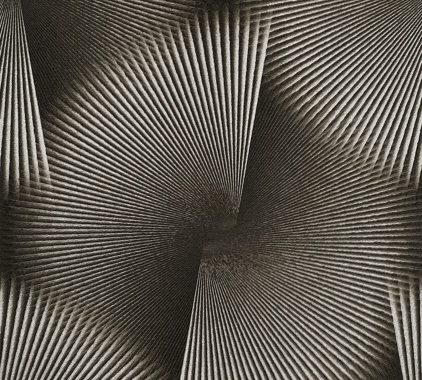 Papel Mural Espiral Satinado Negro / 792523 (Spectrum) 5
