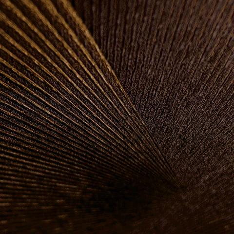 Papel Mural Espiral Satinado Café / 792525 (Spectrum)