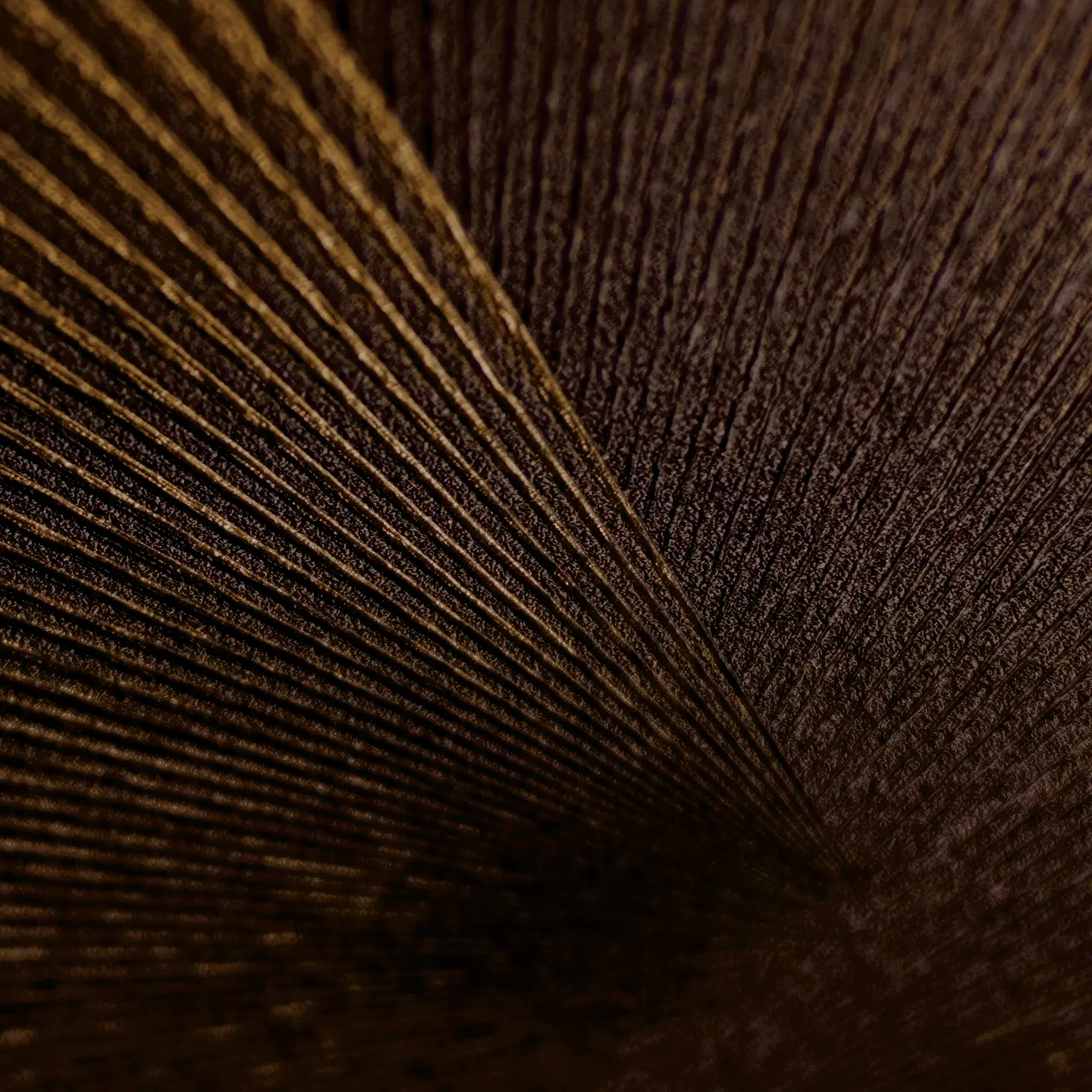 Papel Mural Espiral Satinado Café / 792525 (Spectrum) 2