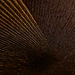 Papel Mural Espiral Satinado Café / 792525 (Spectrum) - Miniatura 2