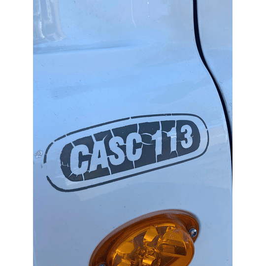 FREIGHTLINER  - CASC 113 - Año 2017