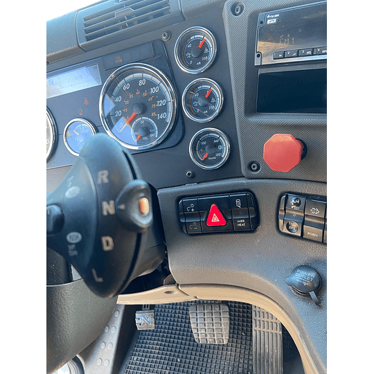 FREIGHTLINER  - CASC 113 - Año 2017