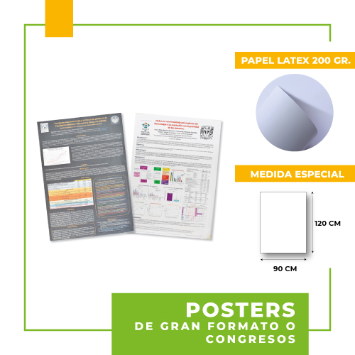 Poster gran formato full color - A1 (84x59cms)