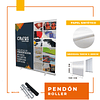 Pendón roller