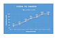 Estabilizador de Voltaje 5000VA 5kVA SVC 220V 110V - Miniatura 5