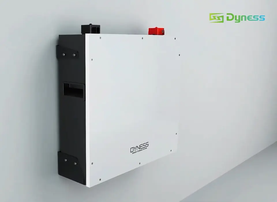 Bateria de Litio Dyness 5.12kWh 51.2V 100Ah DL5.0C 5