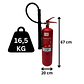 EXTINTOR CO2 5 KG.BC D.S.44 - Miniatura 2