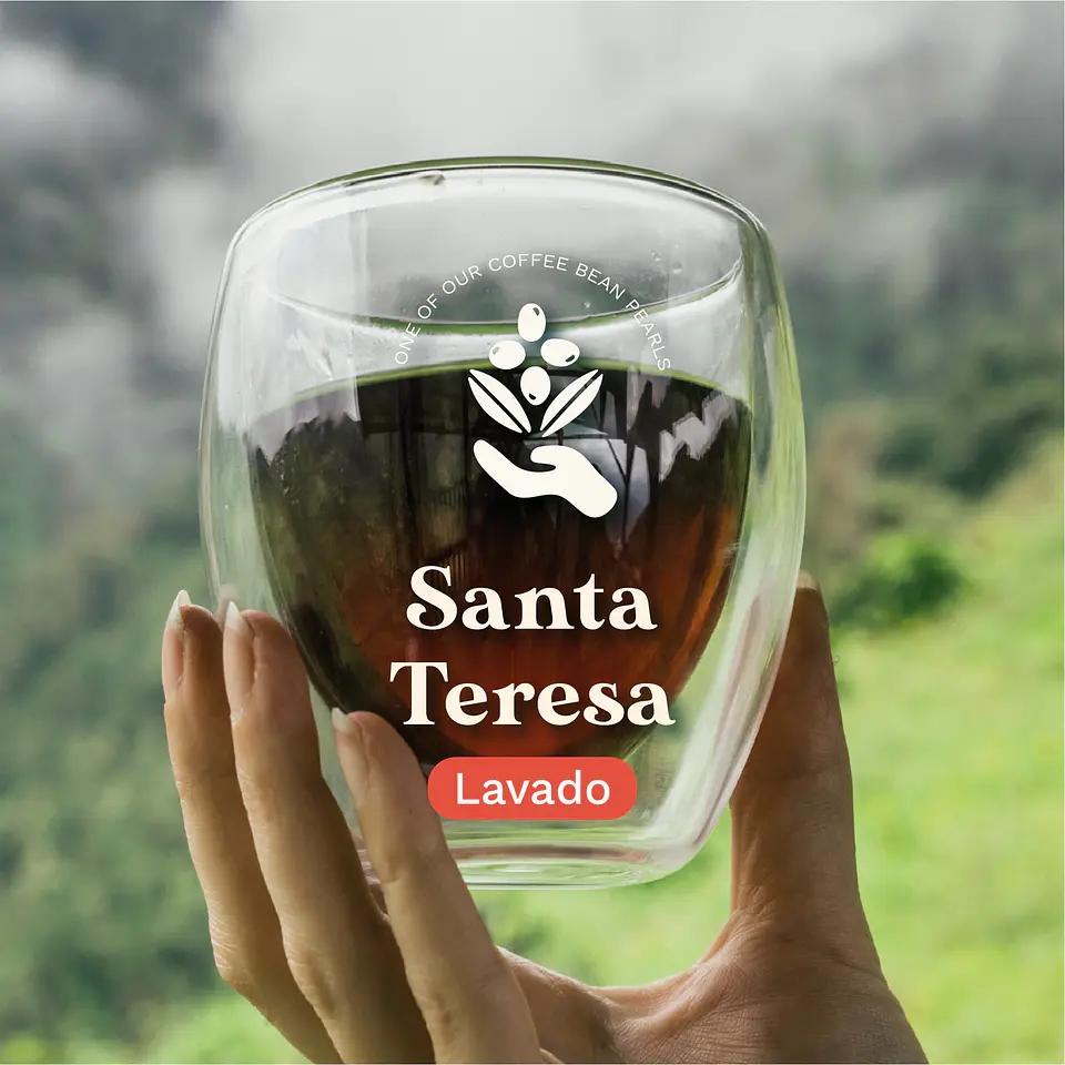 Santa Teresa Geisha Lavado 1