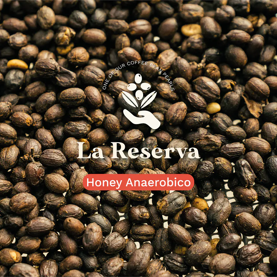 La Reserva Caturra Chiroso 1