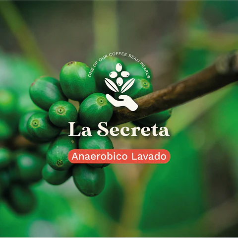 La Secreta Caturra Chiroso