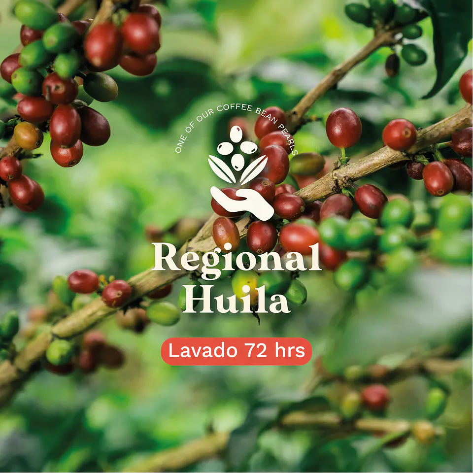 Regional Huila 1