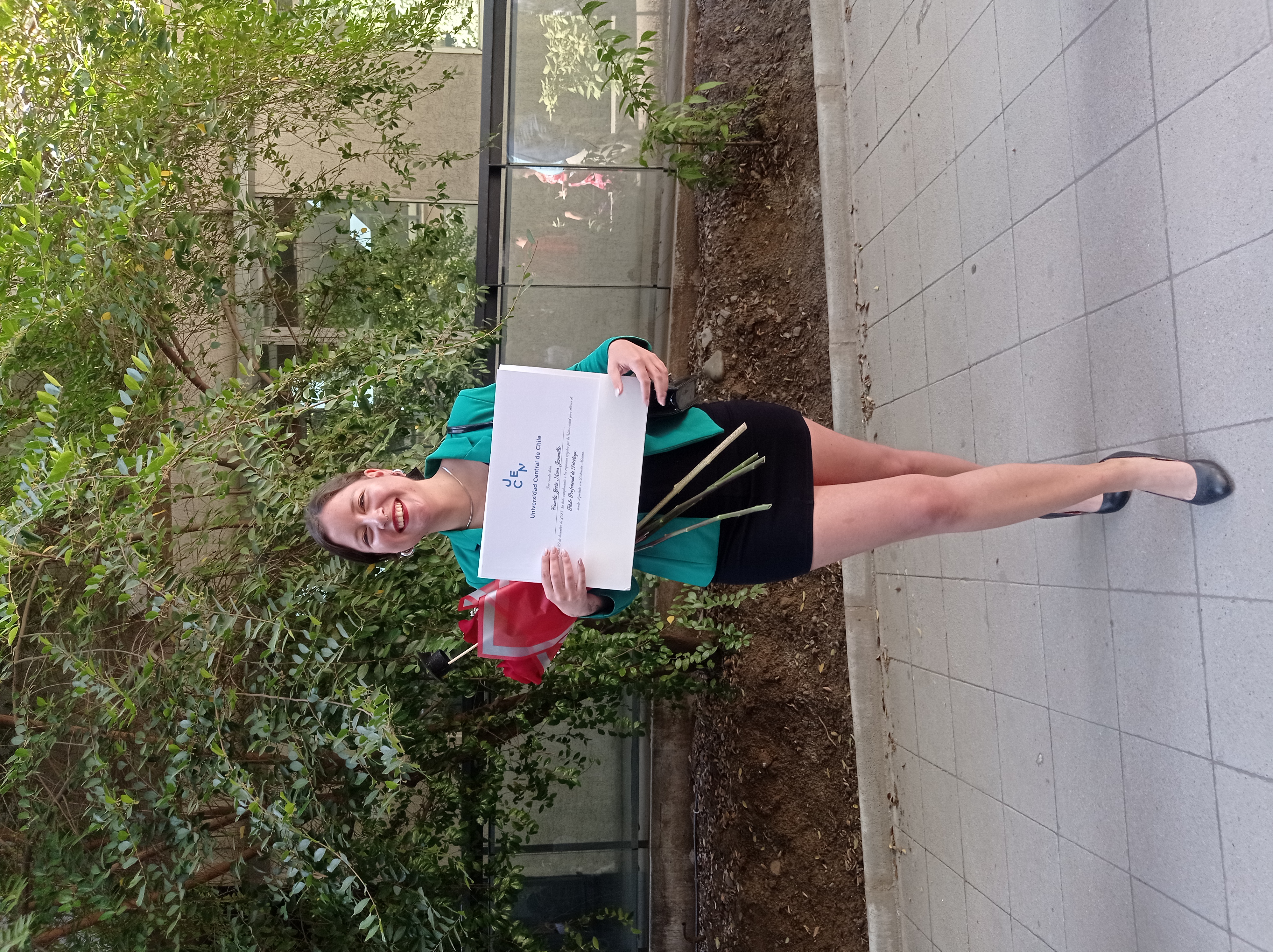 Sobre mi trabajo profesional