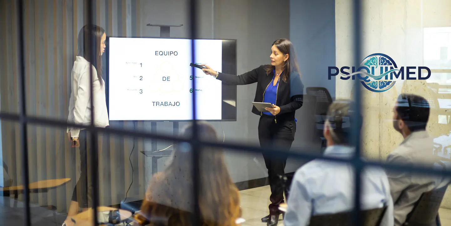 Consultoría Organizacional y Senior