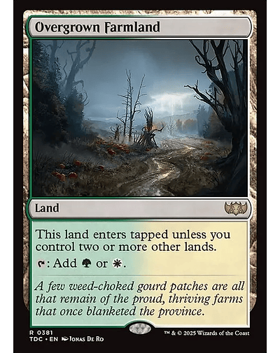 Overgrown Farmland - 0381 - Español