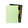 DS100 Matte Dual Pastels Gooseberry 2