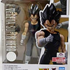 S.H.FIGUARTS VEGETA SUPER HERO DRAGON BALL TAMASHII NATIONS 1