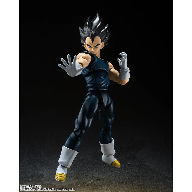 S.H.FIGUARTS VEGETA SUPER HERO DRAGON BALL TAMASHII NATIONS 3