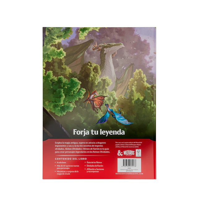 Dungeons & Dragons Forgotten Realms: Heroes of Faerûn ESPAÑOL 2