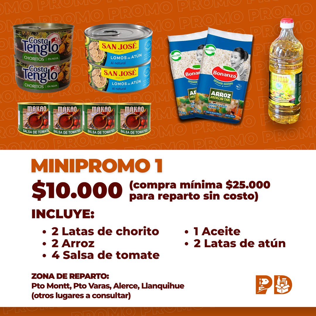 MINIPROMO 1 1