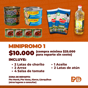 MINIPROMO 1