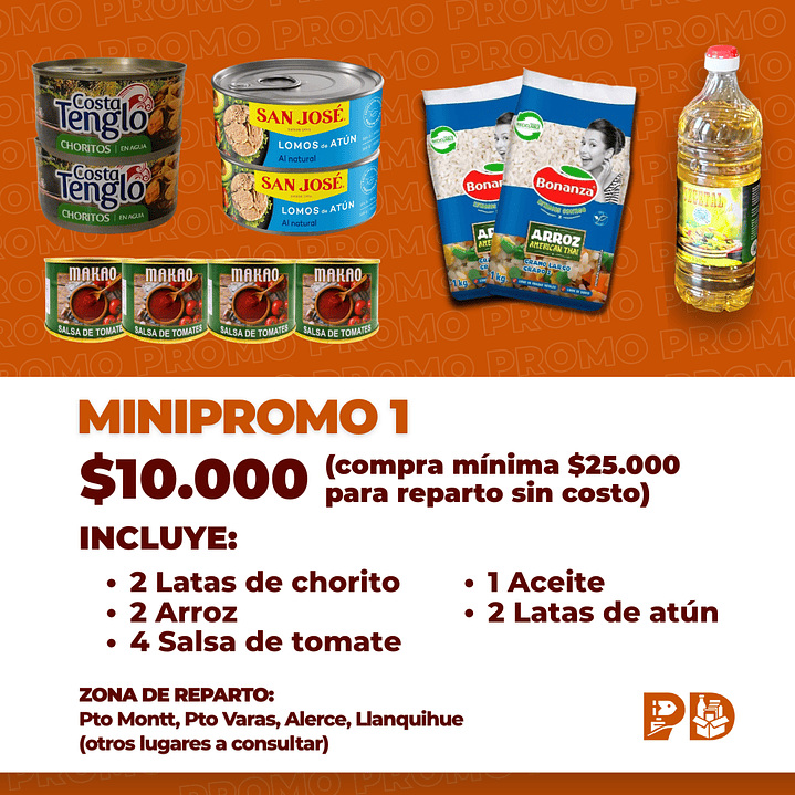 MINIPROMO 1 1