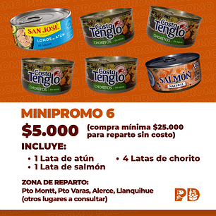 MINIPROMO 6