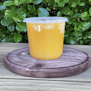 Miel de Ulmo – Frasco 1 kg