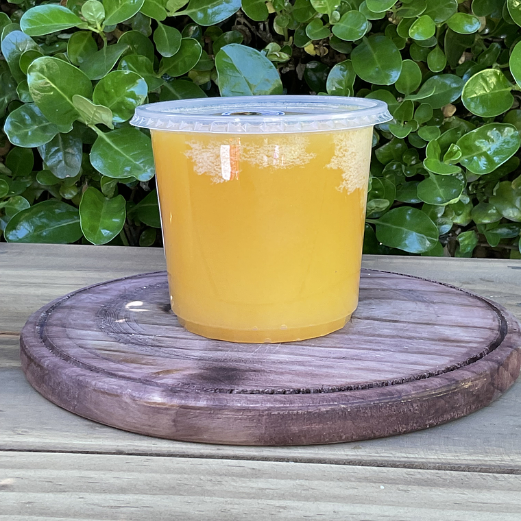 Miel de Ulmo – Frasco 1 kg 1