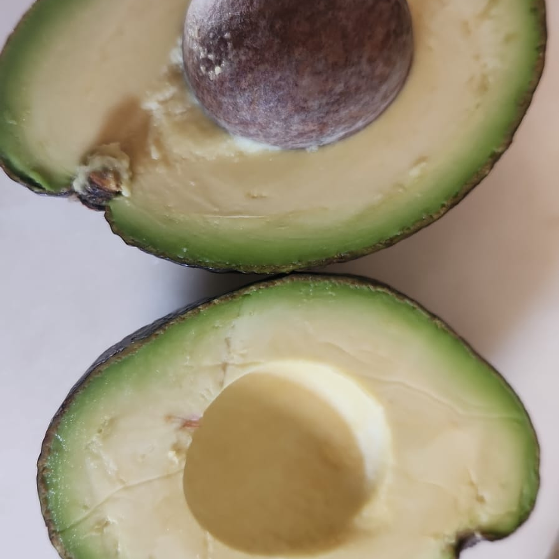 Palta Hass 1