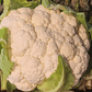 Coliflor - Miniatura 1