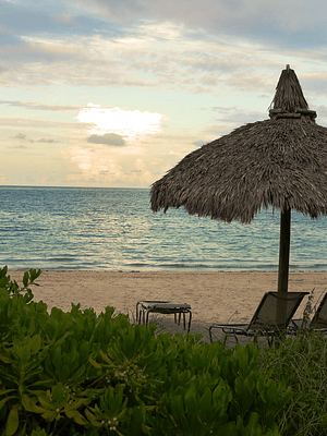 Miami ,la ciudad donde se disfruta en febrero del 21 al 27 febrero 2026