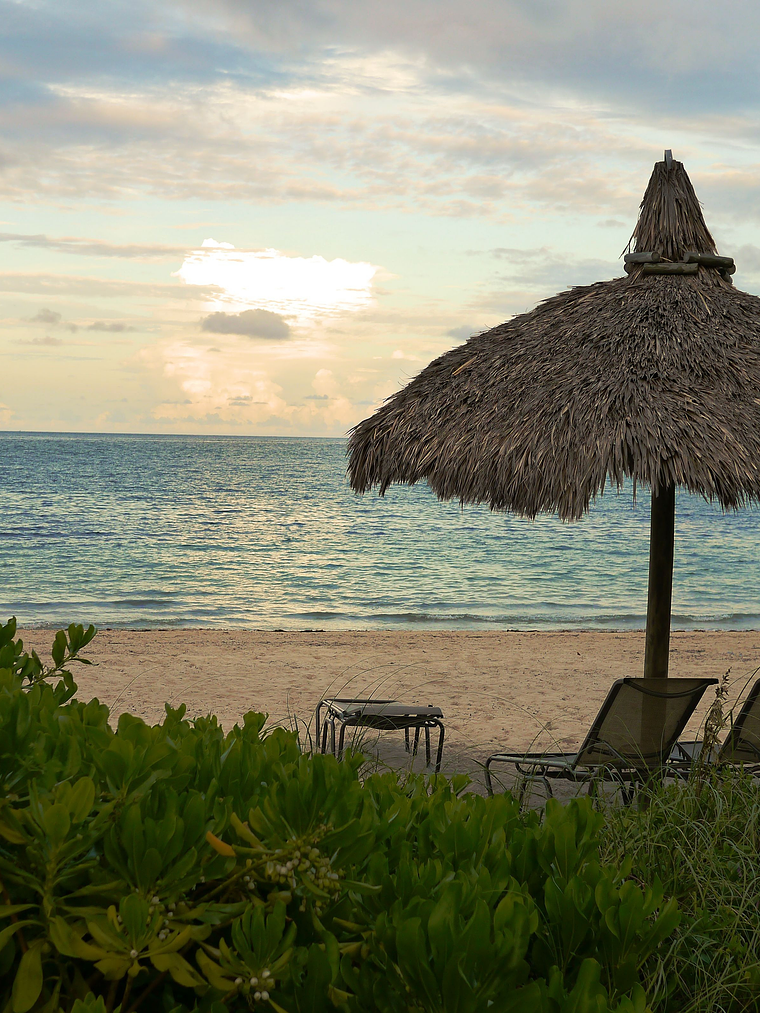 Miami ,la ciudad donde se disfruta en febrero del 21 al 27 febrero 2026 1