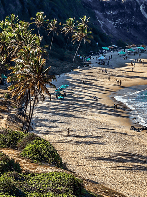Pipa, descubre la bella playa del  Nordeste del Brasil del 20 de febrero al 27 de febrero