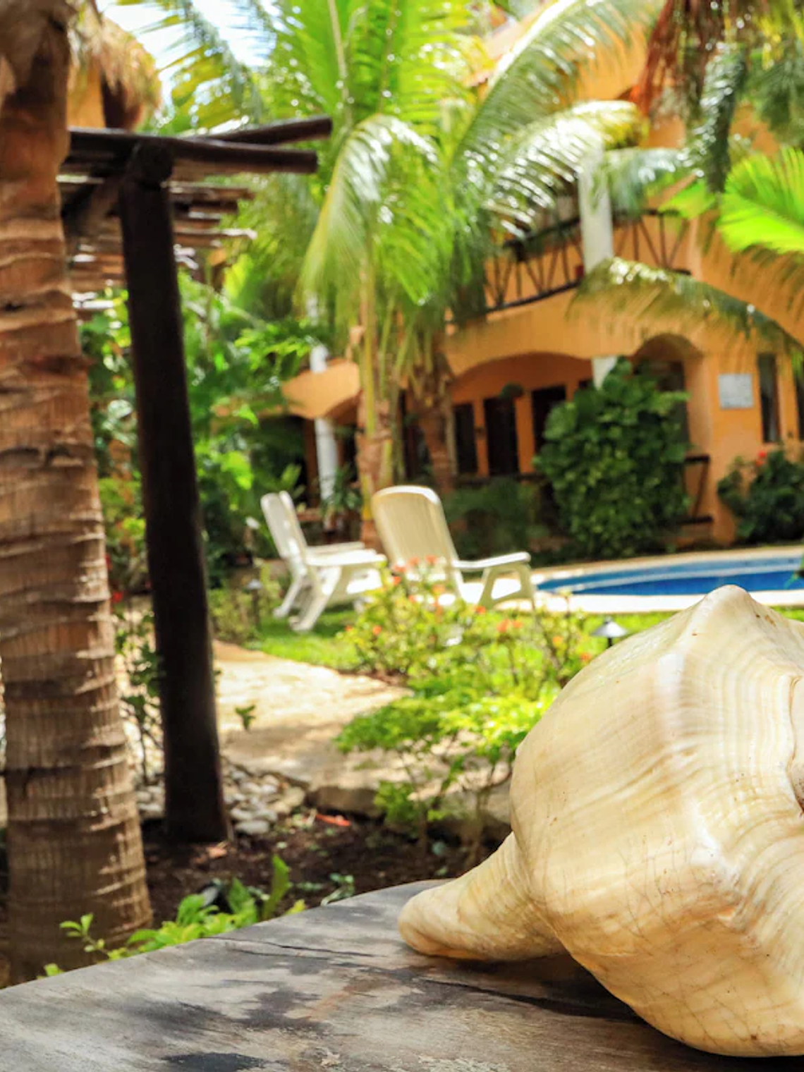 Descubre las Pirámides de Chichén Itzá  en Mexico y Playa del Carmen 3