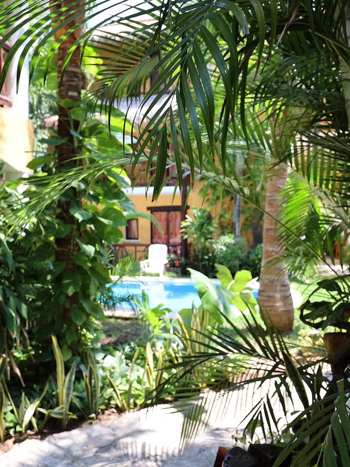 Descubre las Pirámides de Chichén Itzá  en Mexico y Playa del Carmen 4